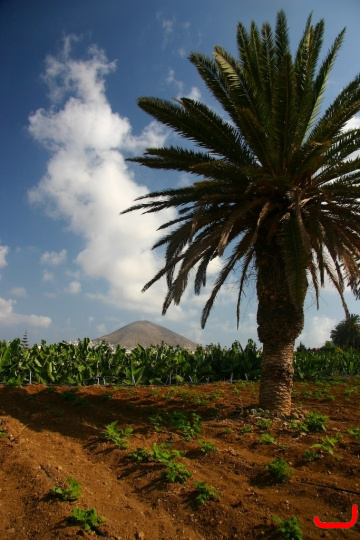 mountainbike-nortetrek-028