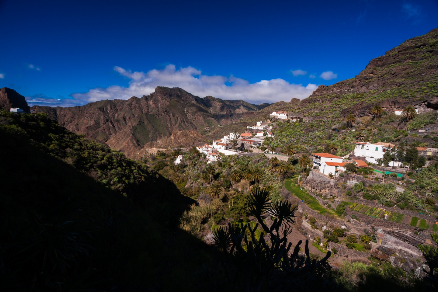 Carrizal de Tejeda 0038