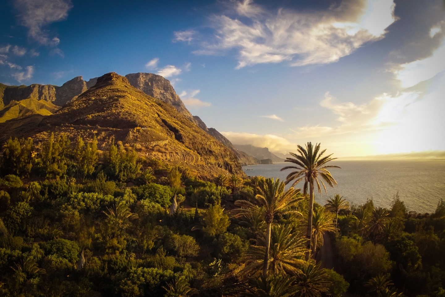 Guayedra valley in west Gran Canaria 