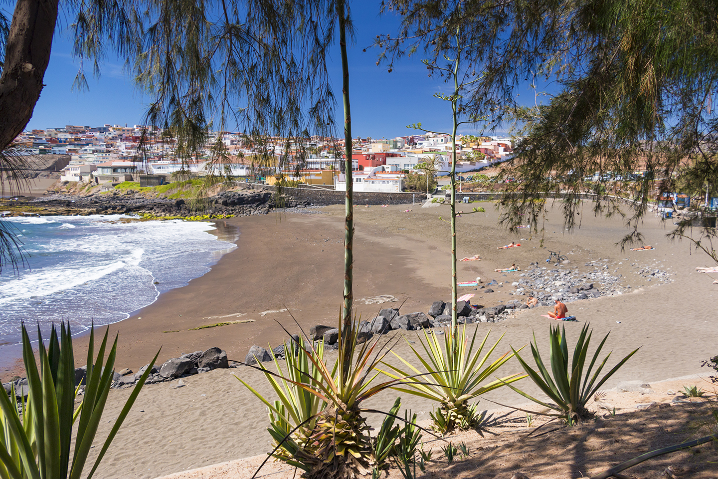 Blue Flag Hoya del Pozo beach