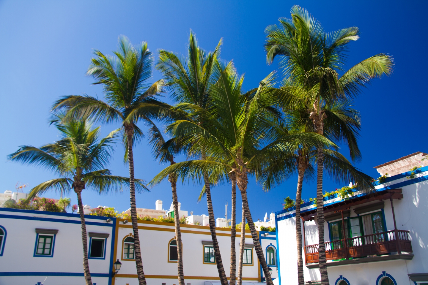 Puerto de Mogán Gran Canaria 