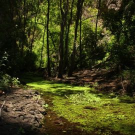 barranco_de_azuaje-fd0002