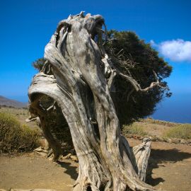 El Hierro