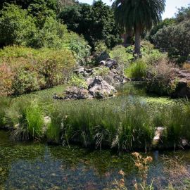Jardín Botánico Viera y Clavijo