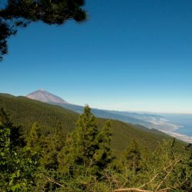 Tenerife