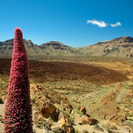 Tenerife