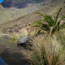 el-charco-azul-028