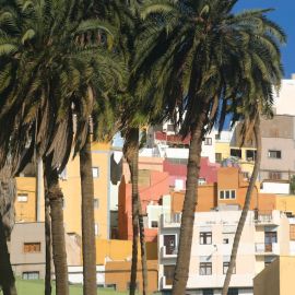 Vegueta