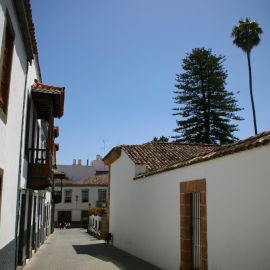 Teror