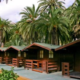 Camp Sites
