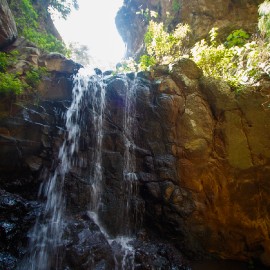 Hiking (walking - trekking)