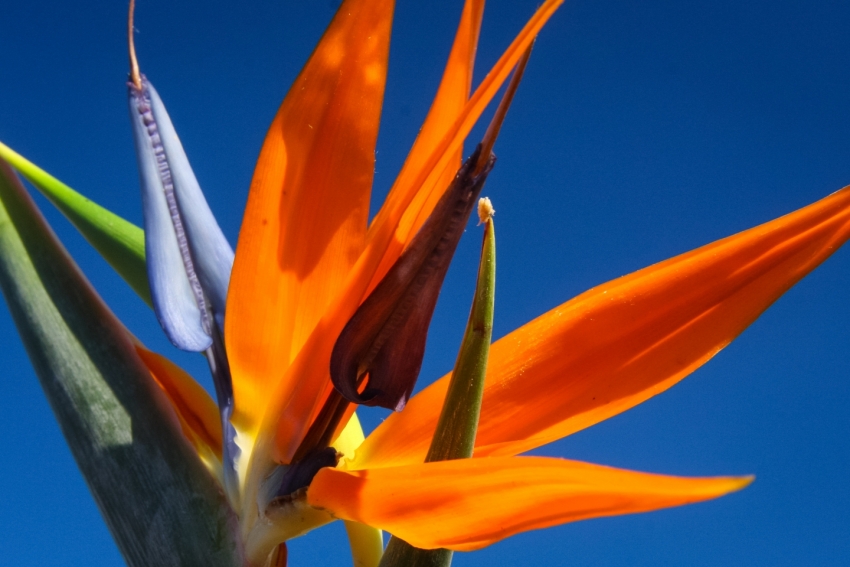 Sunshine forecast this week in Gran Canaria